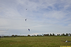 Venice kite festival_0551